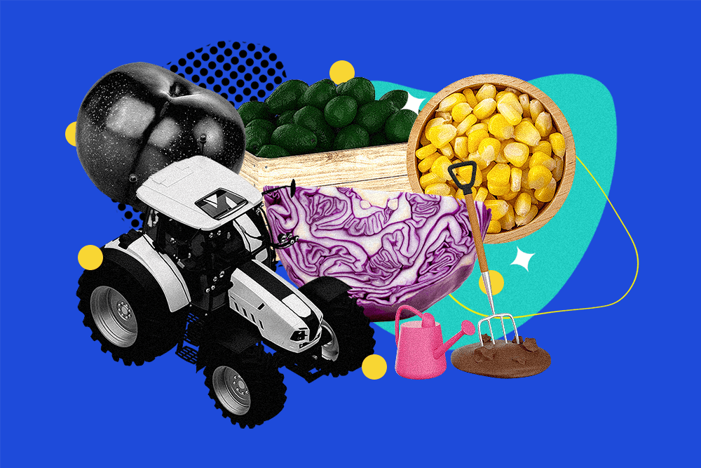 The Grass is Greener: Best Agriculture Investments