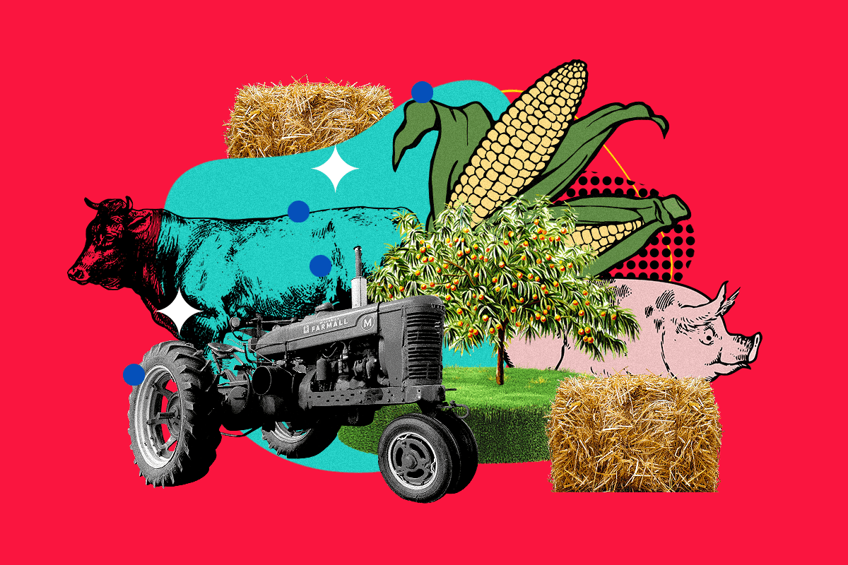 Invest like Bill Gates with the Best North Dakota Farmland