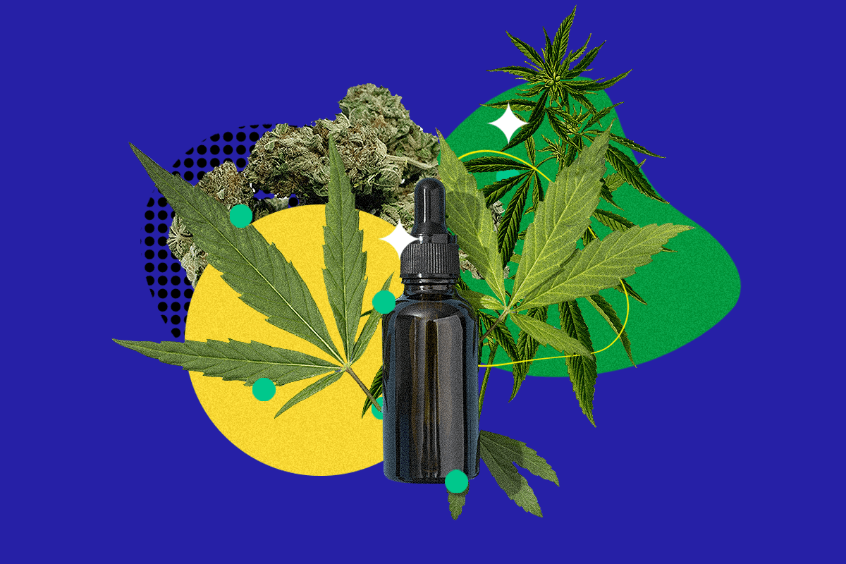 How to Invest in Cannabis: From Marijuana Stocks to CBD Startups